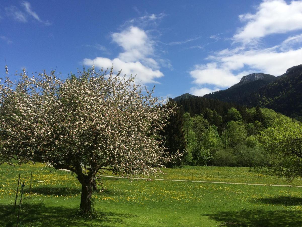 Ferienwohnungen Landinger Aschau im Chiemgau Ngoại thất bức ảnh